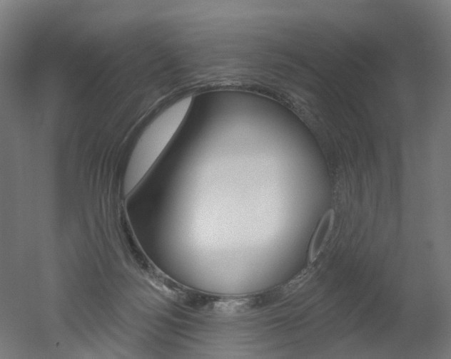 X0000051860172200506241011