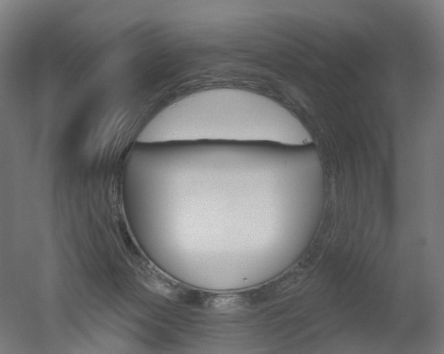 X0000051860173200506241011