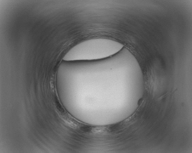 X0000051860175200506241011