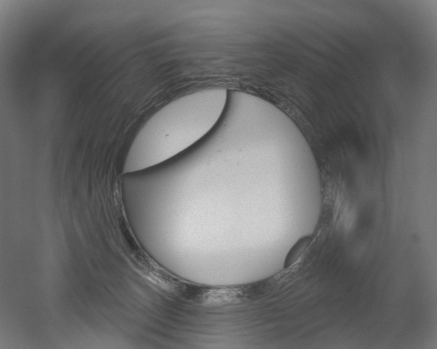 X0000051860179200506241012