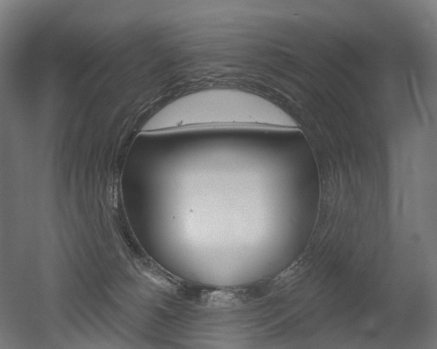 X0000051860180200506241012