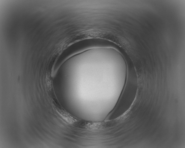 X0000051860186200506241012