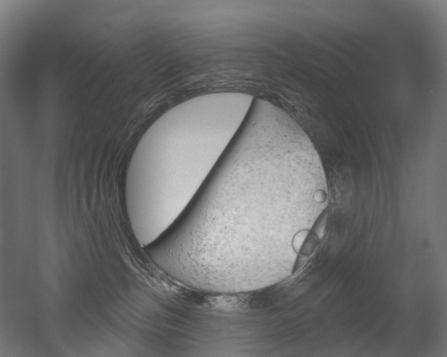 X0000051860187200506241012