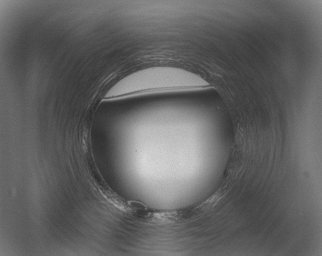 X0000051860188200506241012