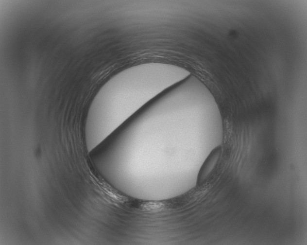 X0000051860189200506241012