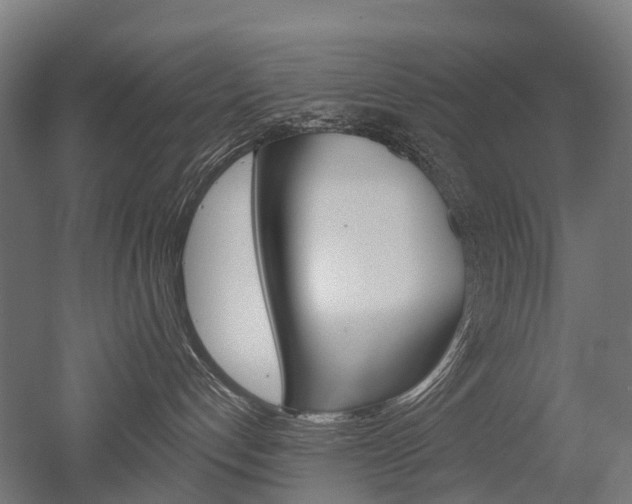 X0000051860192200506241012