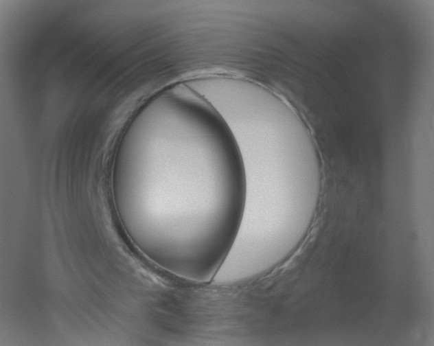 X0000051860193200506241011