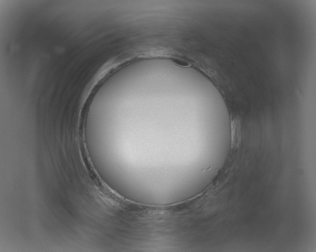 X0000051860195200506241011