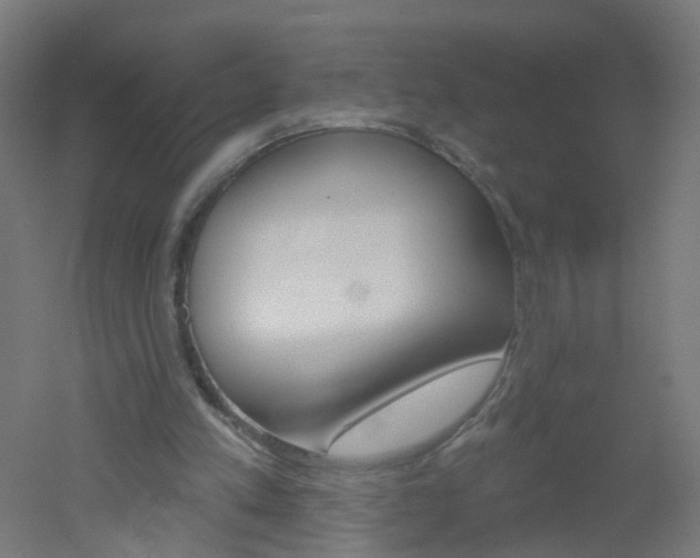 X0000051860197200506241011