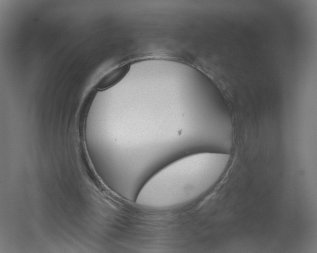 X0000051860198200506241011