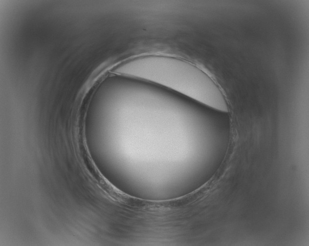 X0000051860199200506241011