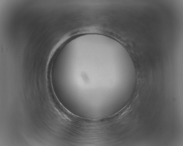 X0000051860200200506241011