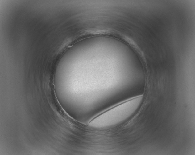 X0000051860201200506241011