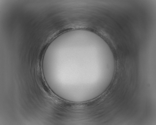 X0000051860202200506241011