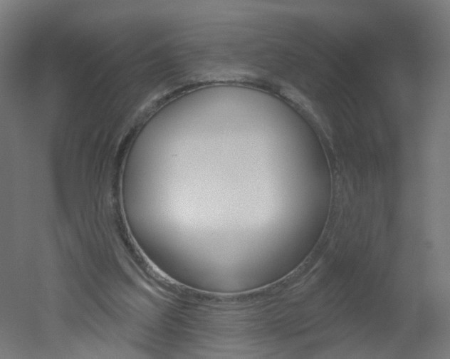 X0000051860203200506241011