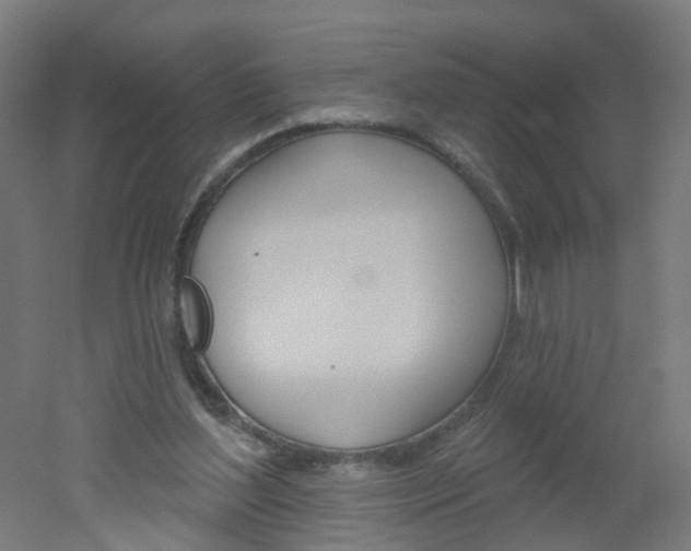 X0000051860204200506241011