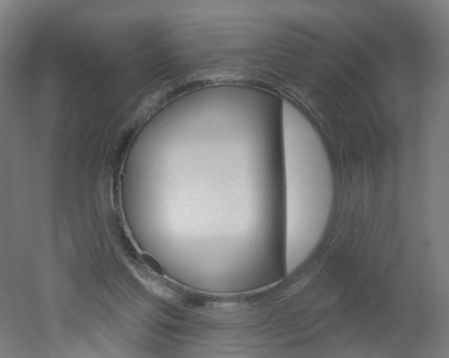 X0000051860205200506241011