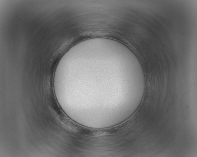 X0000051860206200506241011