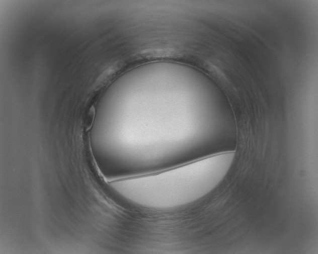 X0000051860207200506241011