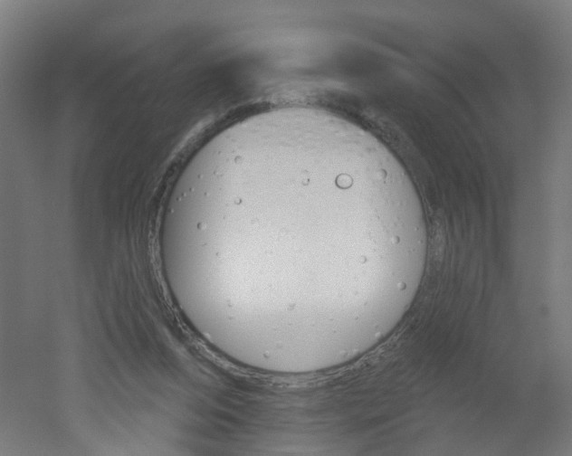 X0000051860208200506241011