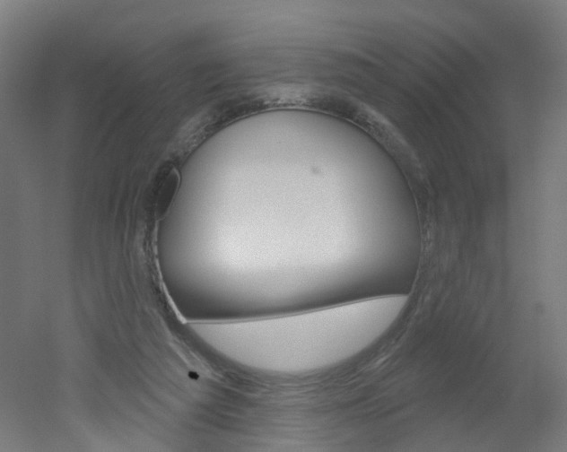 X0000051860209200506241011