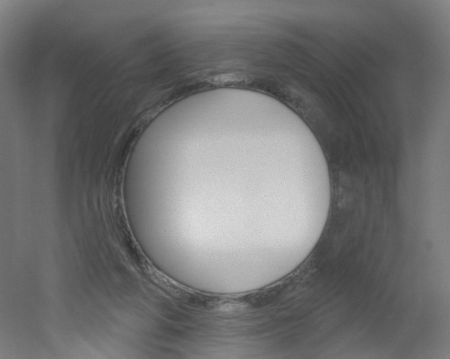 X0000051860210200506241011