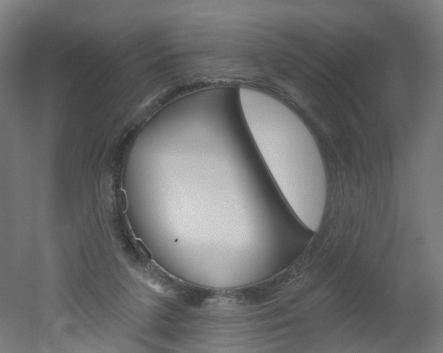 X0000051860211200506241011