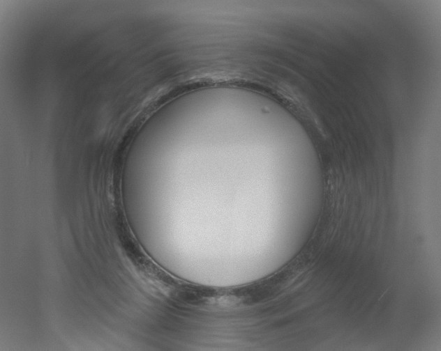 X0000051860212200506241011