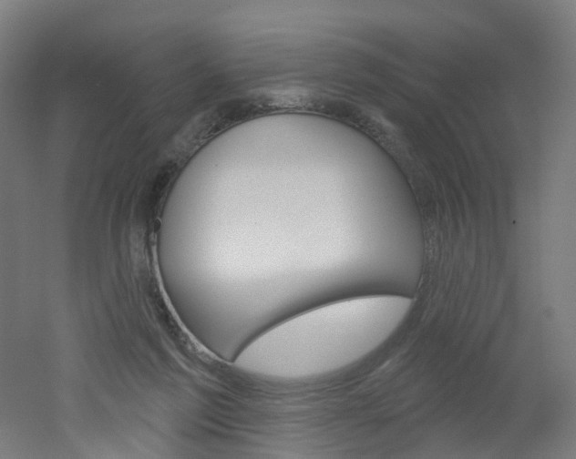 X0000051860213200506241011