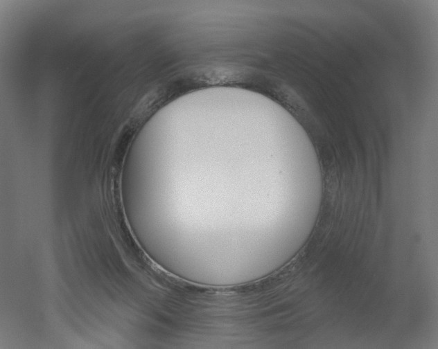 X0000051860214200506241011