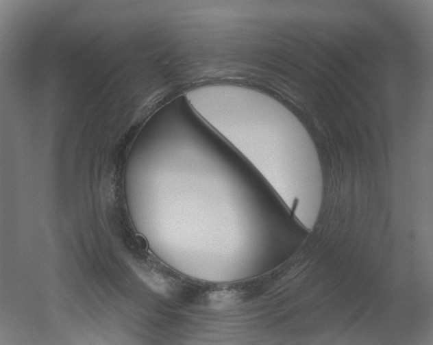 X0000051860216200506241011