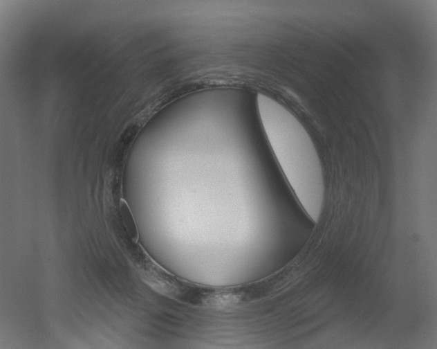 X0000051860217200506241011