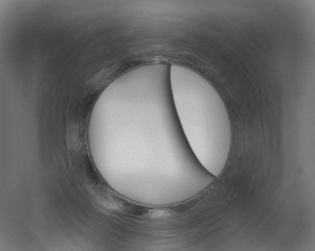 X0000051860218200506241011