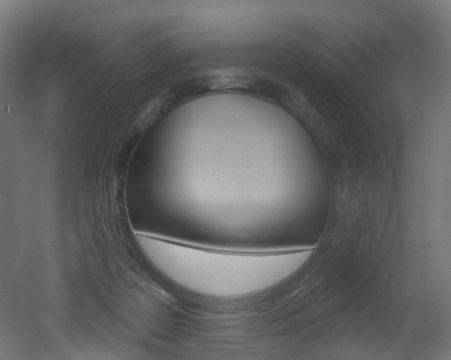 X0000051860219200506241011