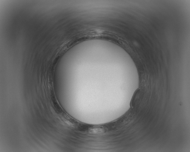 X0000051860220200506241011