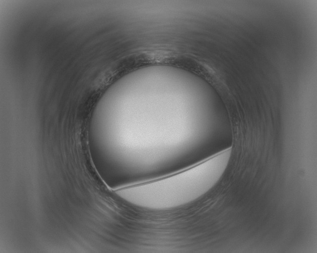 X0000051860221200506241010