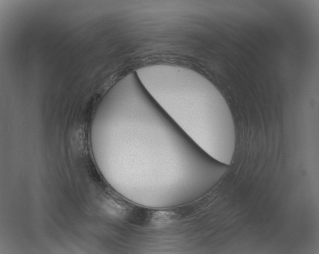 X0000051860222200506241010