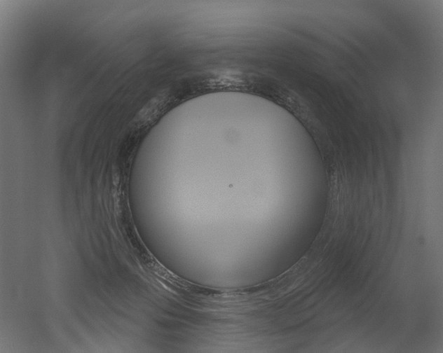 X0000051860223200506241010