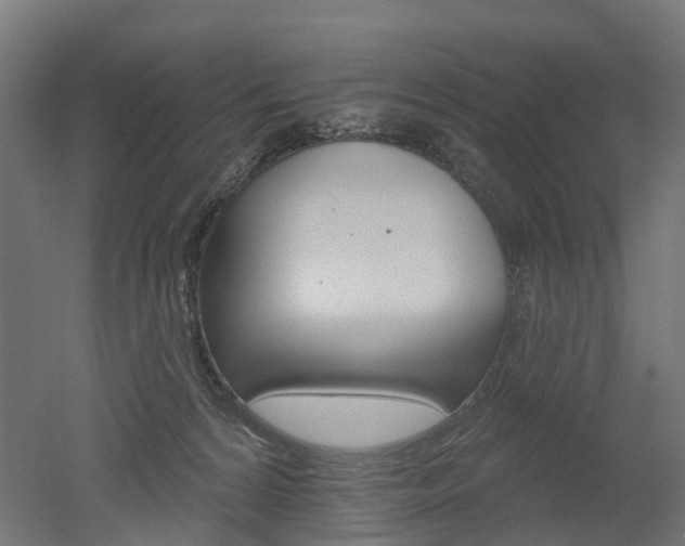 X0000051860224200506241010