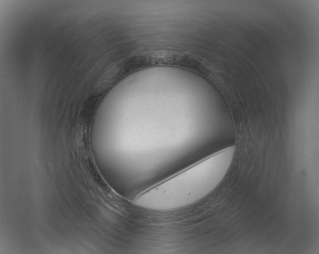 X0000051860225200506241010