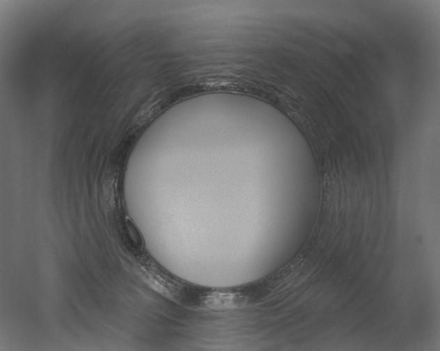 X0000051860227200506241010