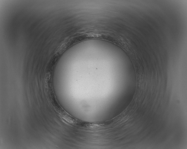 X0000051860229200506241010