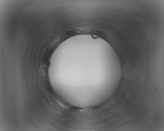 X0000051860232200506241010