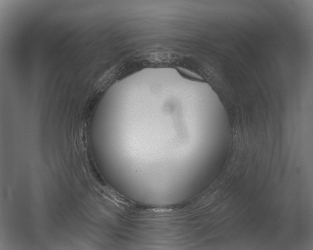 X0000051860233200506241010