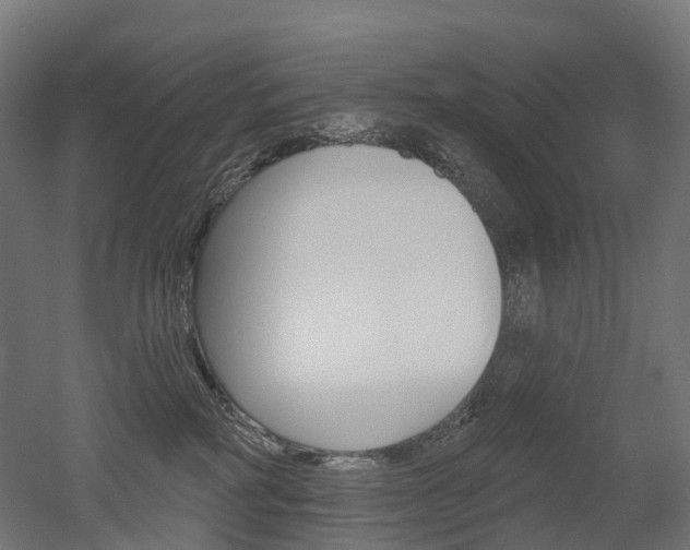 X0000051860234200506241010