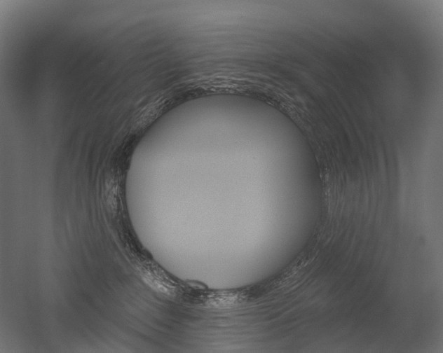 X0000051860235200506241010