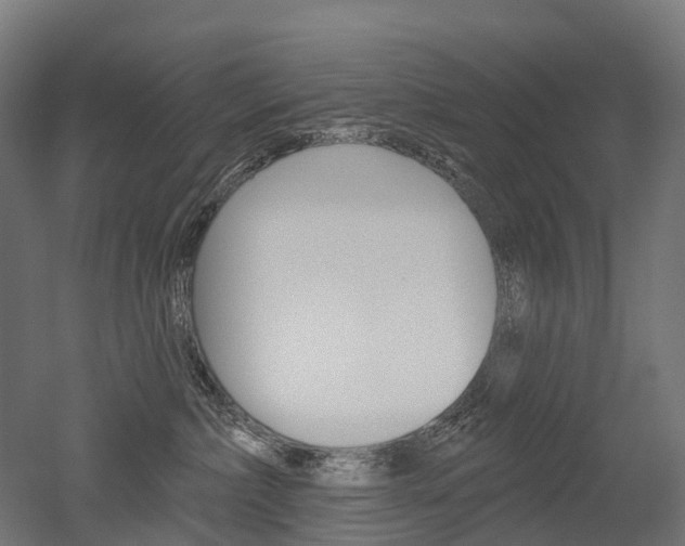 X0000051860236200506241010