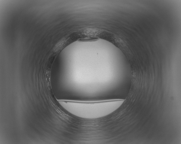 X0000051860237200506241010