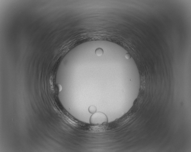 X0000051860238200506241010