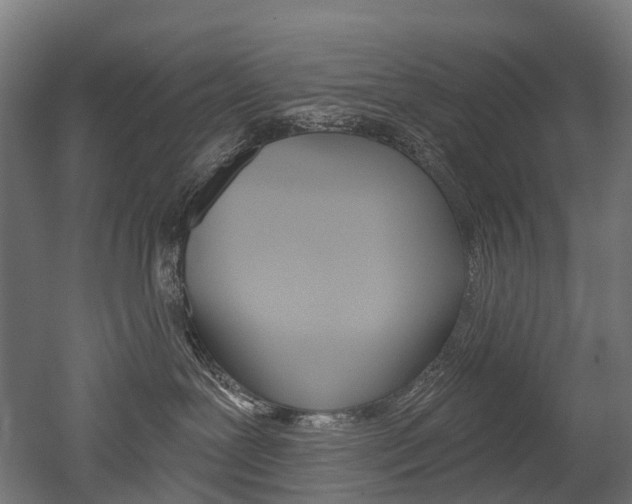 X0000051860239200506241010